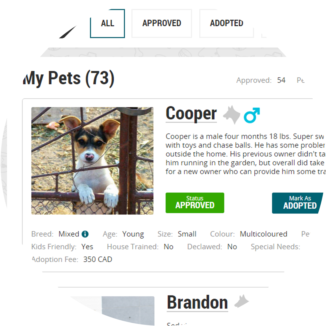 Screenshot of Adoptico.com
