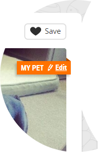 Screenshot of Adoptico.com