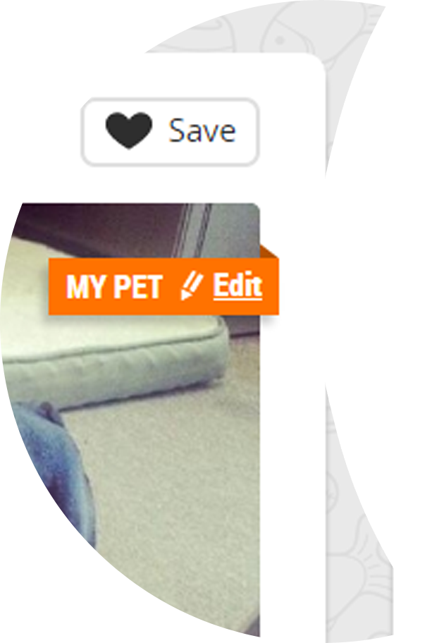 Screenshot of Adoptico.com